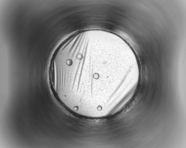 X0000095690949200802051310