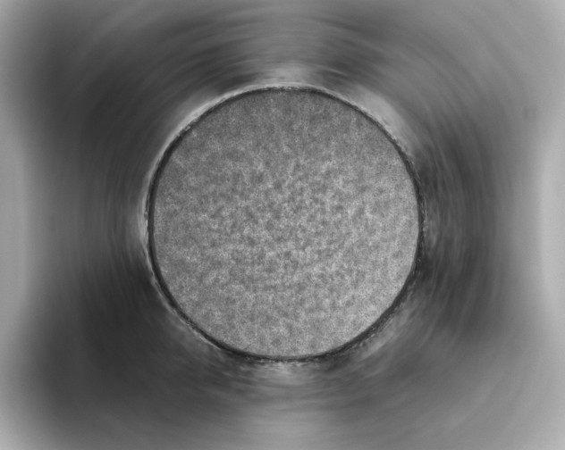 X0000095690950200802051310