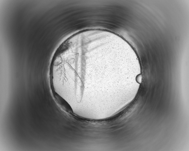 X0000095690951200802051310