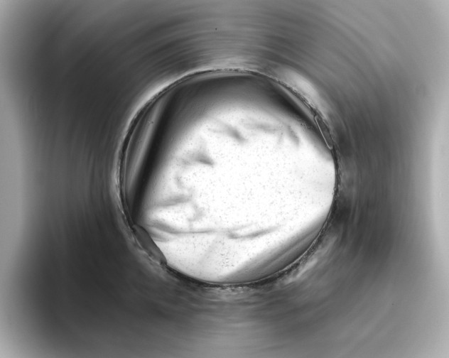 X0000095690952200802051310