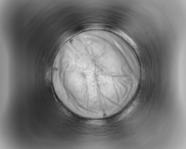 X0000095690953200802051310