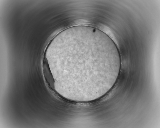 X0000095690954200802051310