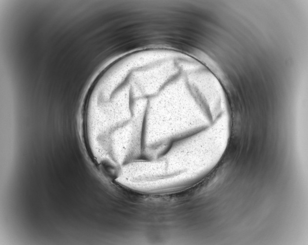 X0000095690955200802051310