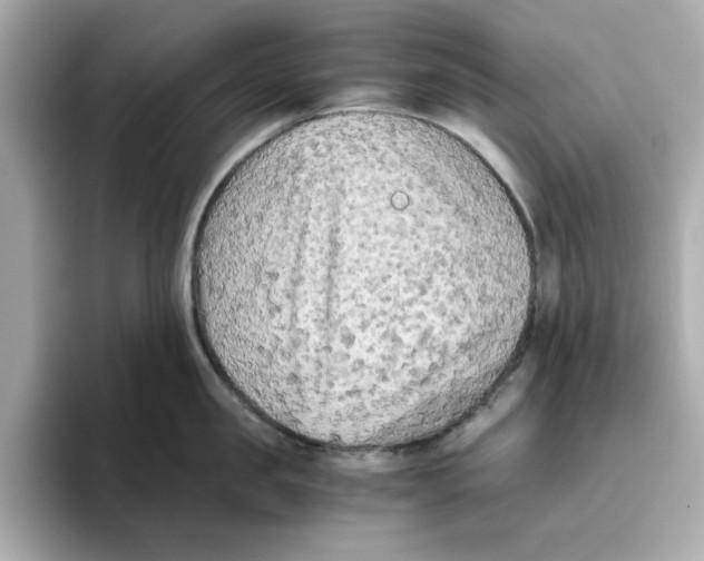 X0000095690957200802051310