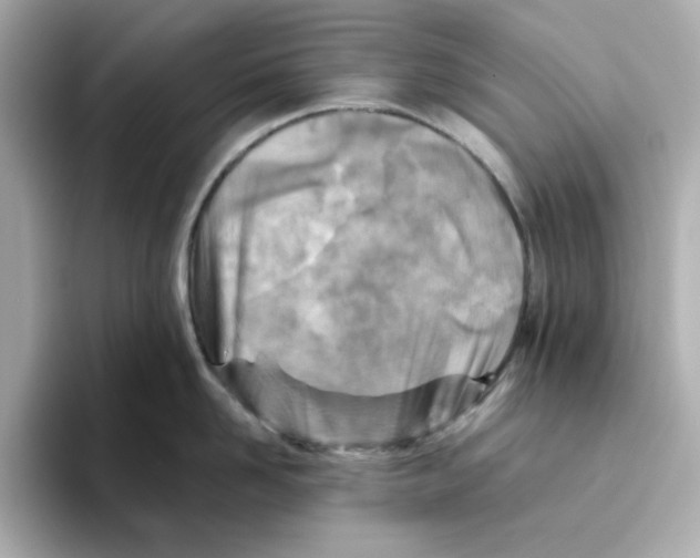 X0000095690958200802051310