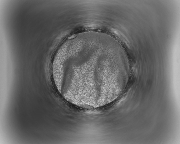 X0000095690961200802051309