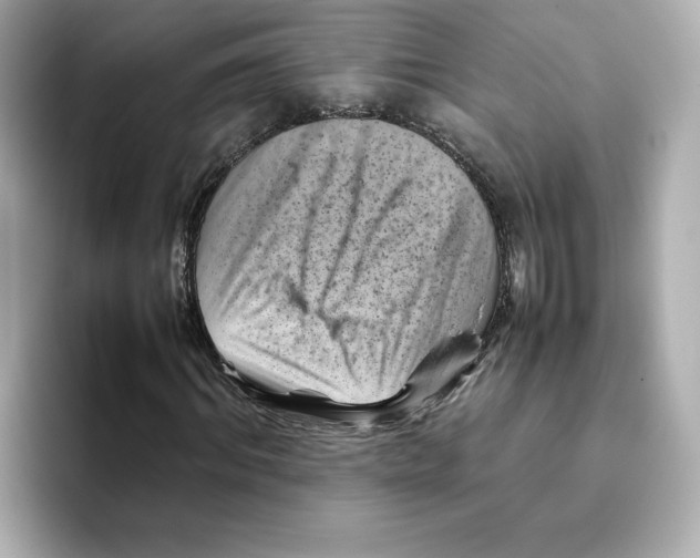 X0000095690964200802051309