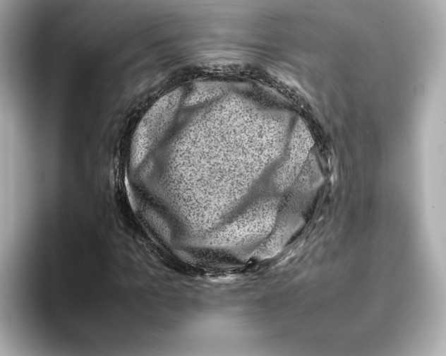 X0000095690965200802051309