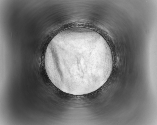 X0000095690966200802051309