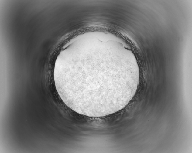 X0000095690968200802051309