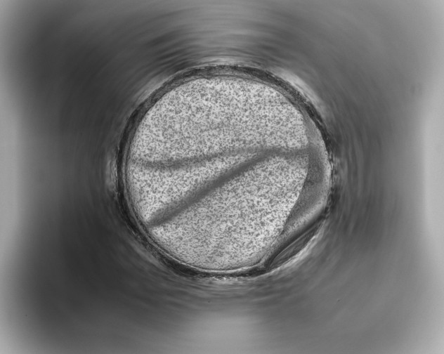 X0000095690969200802051309