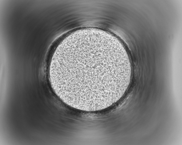 X0000095690971200802051309