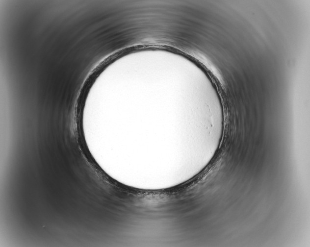 X0000095690972200802051309