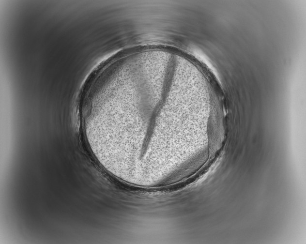 X0000095690973200802051309