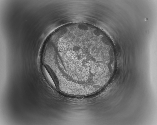 X0000095690975200802051309