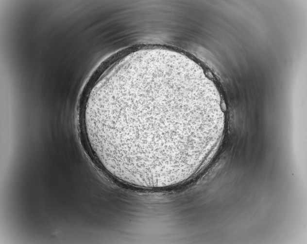 X0000095690976200802051309