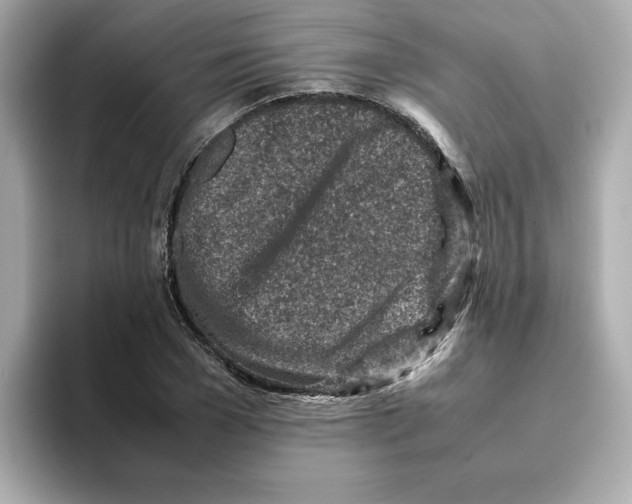 X0000095690977200802051309