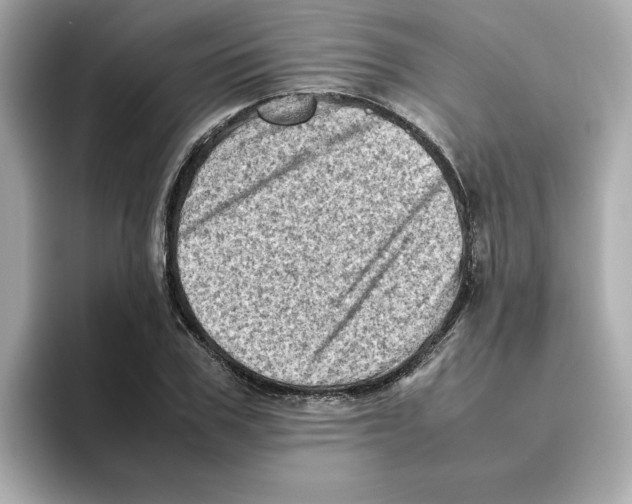X0000095690979200802051309