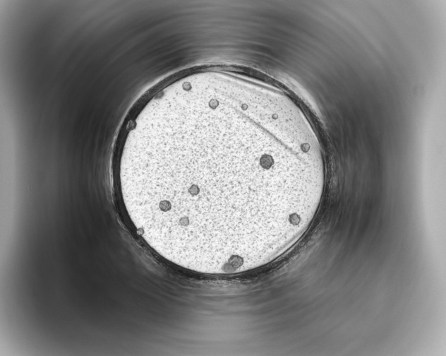 X0000095690980200802051309