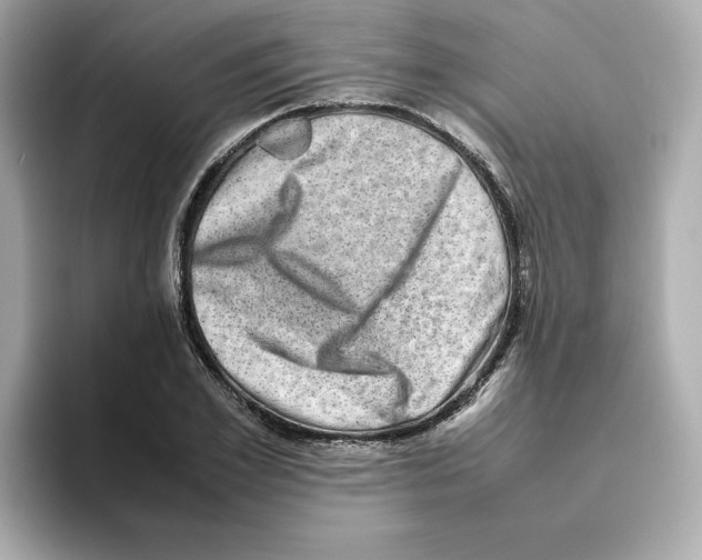 X0000095690981200802051309