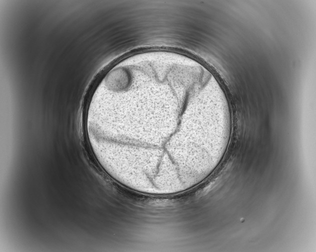 X0000095690982200802051309