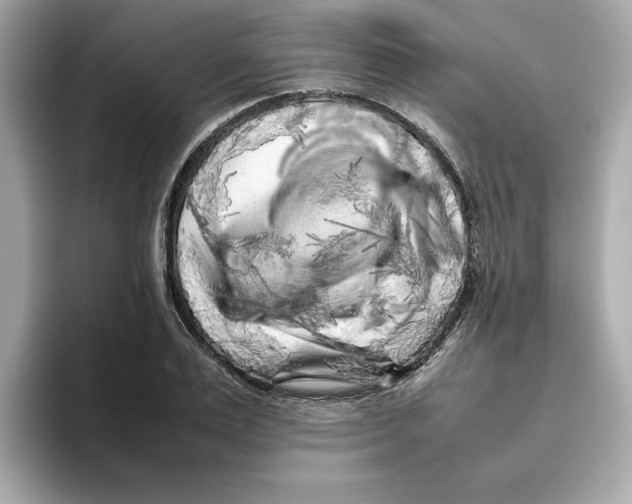 X0000095690983200802051309