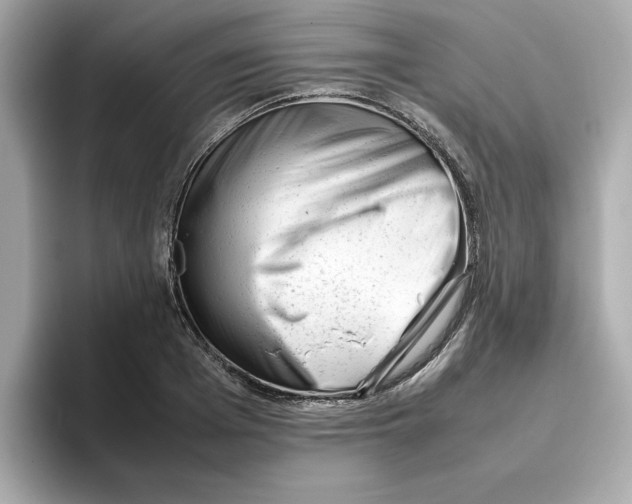 X0000095690985200802051309