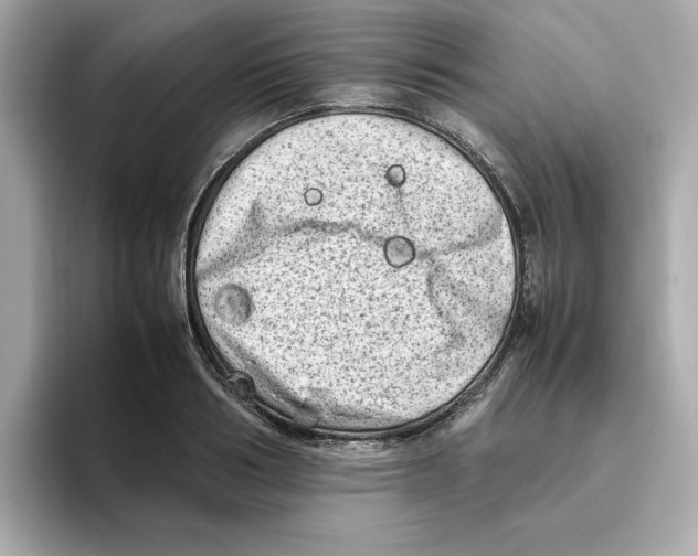 X0000095690986200802051309
