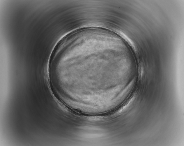 X0000095690988200802051309