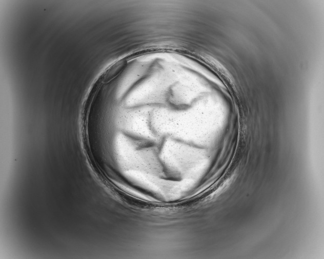 X0000095690989200802051309