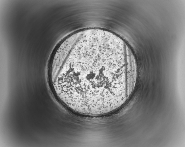 X0000095690991200802051309