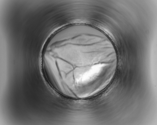 X0000095690992200802051309