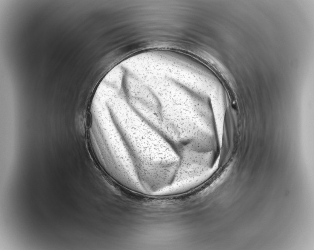 X0000095690993200802051309