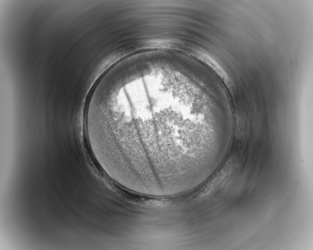 X0000095690994200802051309