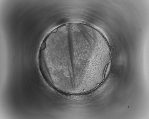 X0000095690995200802051309