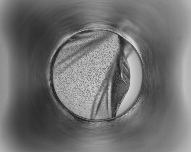 X0000095690997200802051309