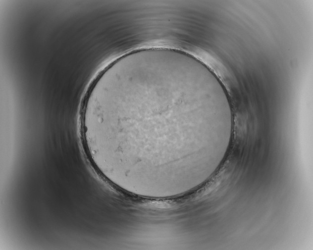 X0000095690998200802051309