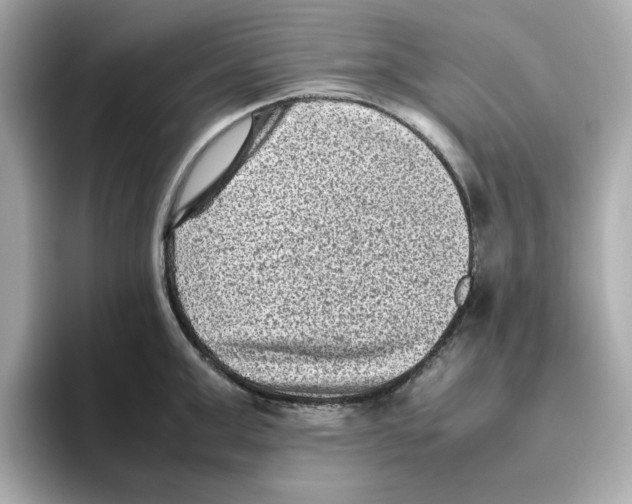 X0000095690999200802051309