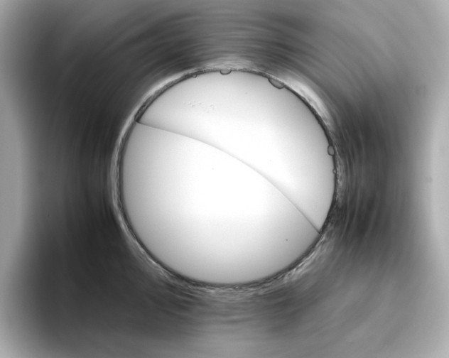 X0000095691000200802051308