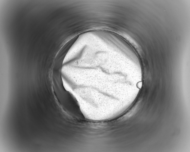 X0000095691001200802051308