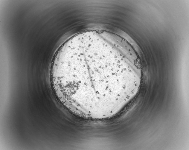 X0000095691002200802051308