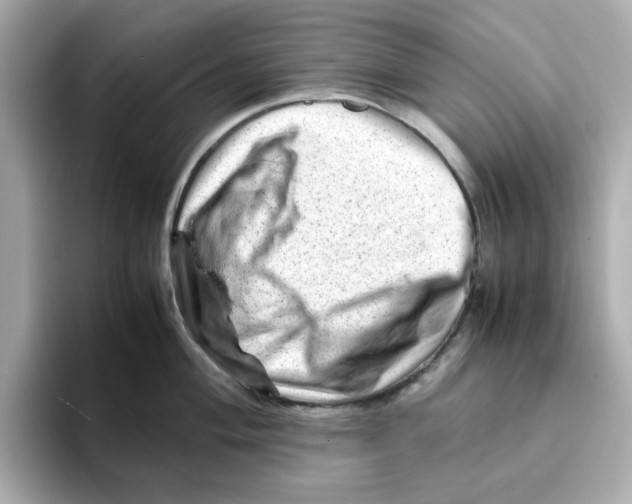 X0000095691004200802051308