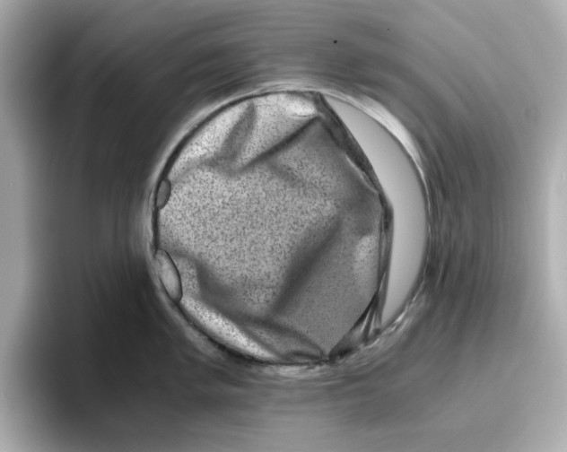 X0000095691005200802051308