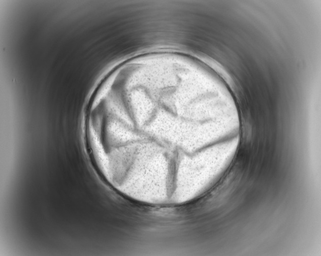 X0000095691006200802051308