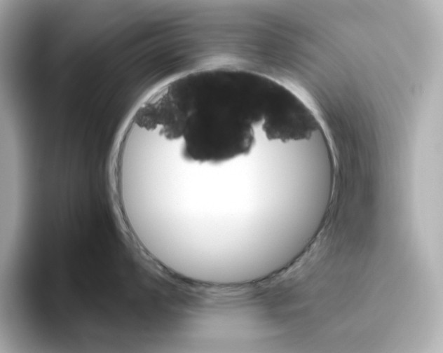 X0000095691008200802051308