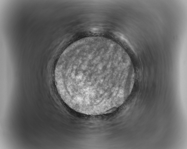 X0000095691009200802051308