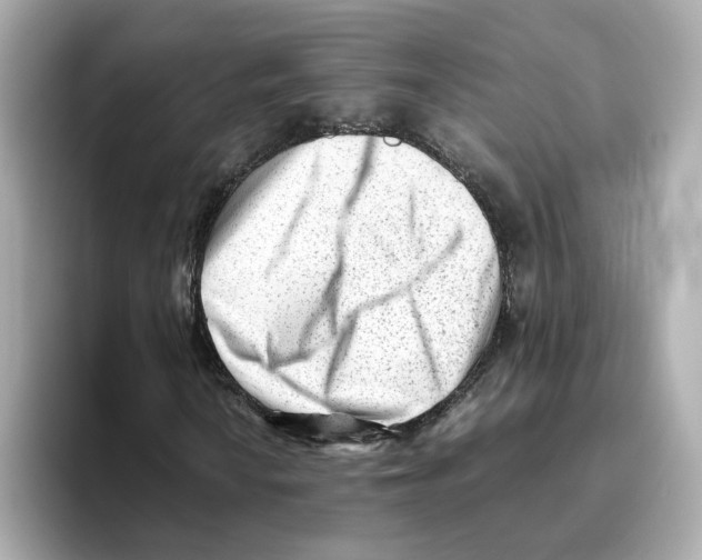 X0000095691010200802051308