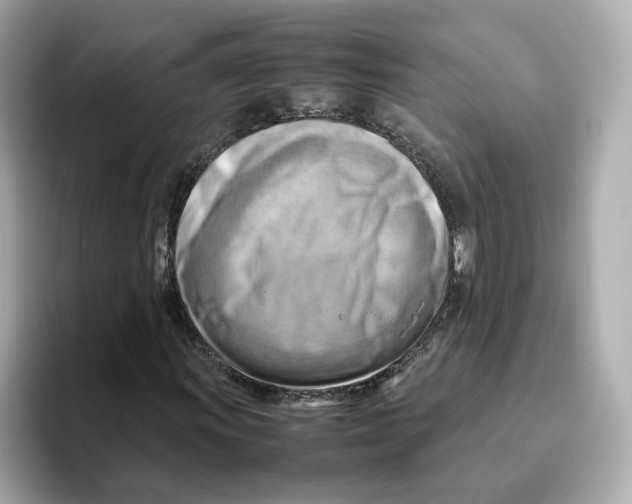 X0000095691011200802051308