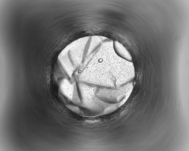 X0000095691012200802051308