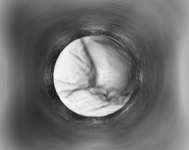 X0000095691014200802051308